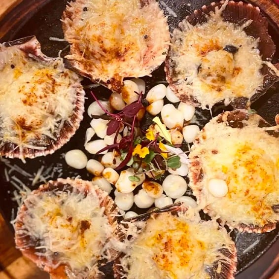 Conchas a la Parmesana.