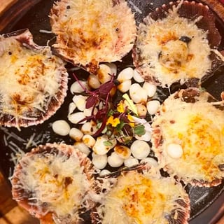 Conchas a la Parmesana