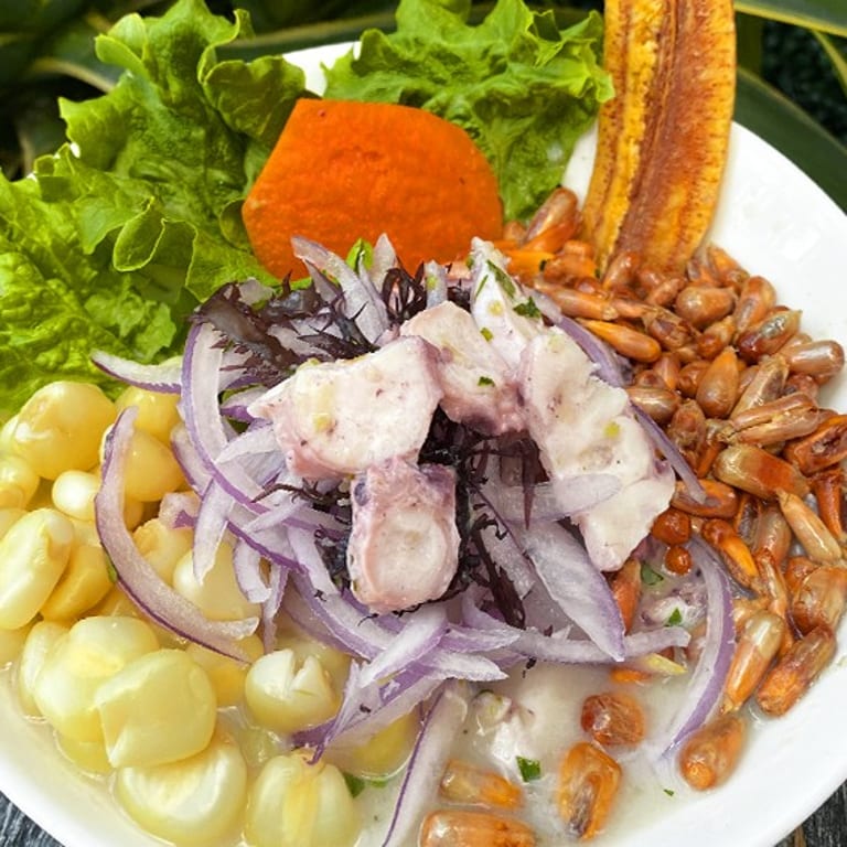 Delicious Ceviche Options